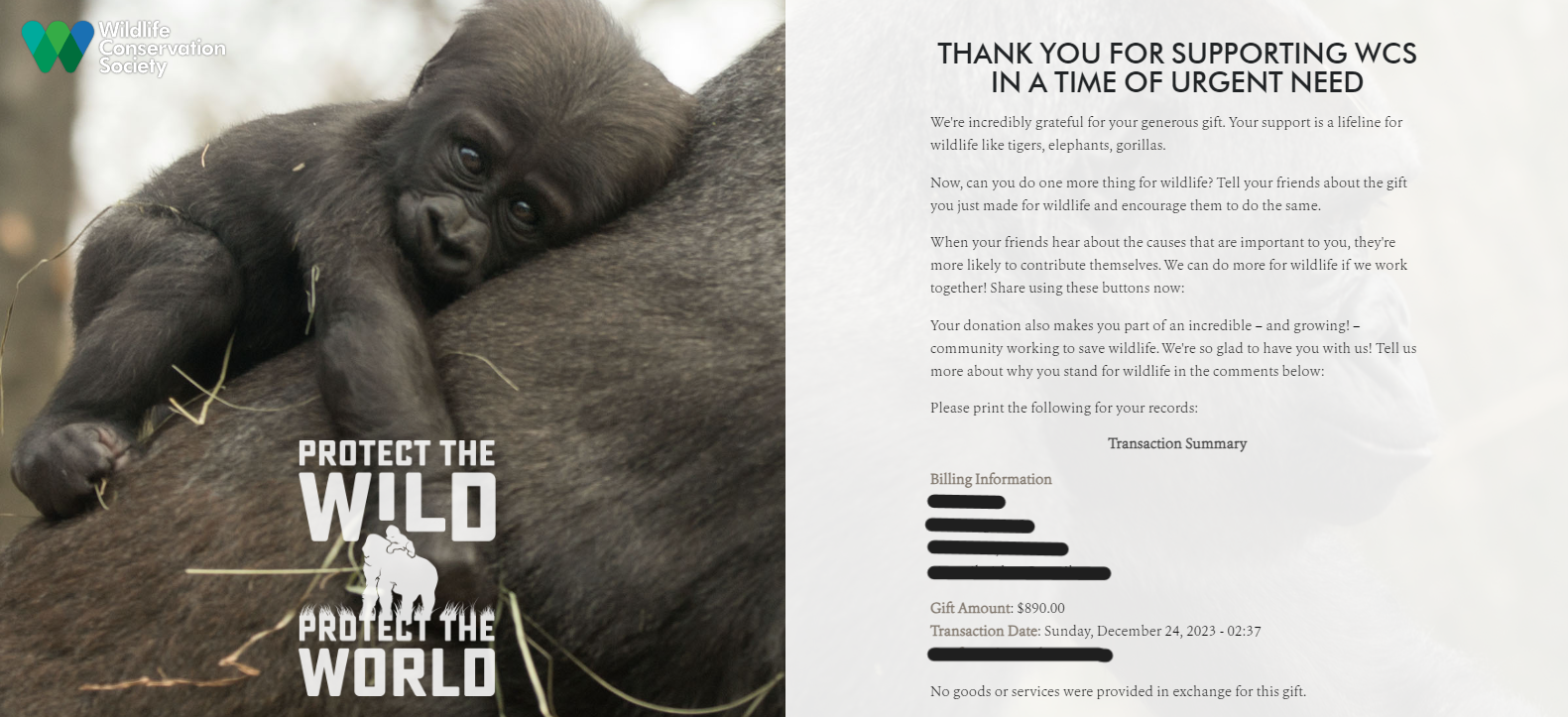 Donation Receipt